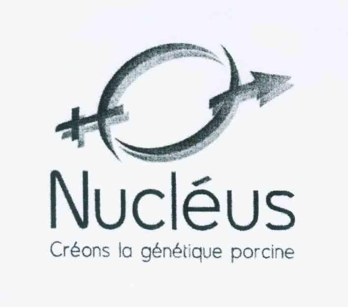 商标名称NUCLEUS CREONS LA GENETIQUE PORCINE商标注册号 11013407、商标申请人科派亚克亚特兰蒂克有限公司的商标详情 - 标库网商标查询