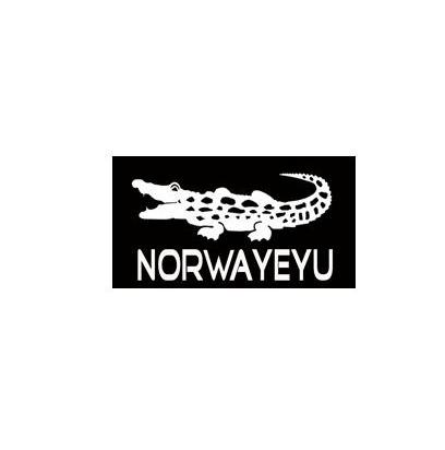 商标名称NORWAYEYU商标注册号 14054536、商标申请人清新上品酷服饰有限公司的商标详情 - 标库网商标查询