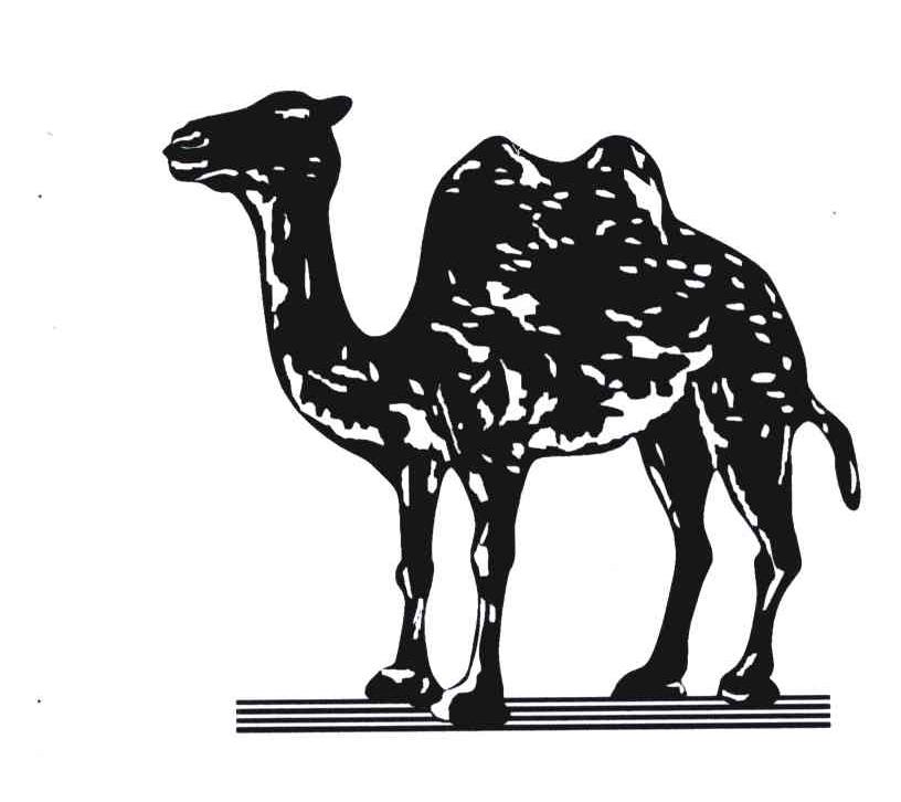 商标名称图形商标注册号 4919880、商标申请人广东骆驼服饰有限公司的商标详情 - 标库网商标查询