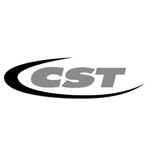 商标名称CST商标注册号 10836151、商标申请人厦门正新橡胶工业有限公司的商标详情 - 标库网商标查询