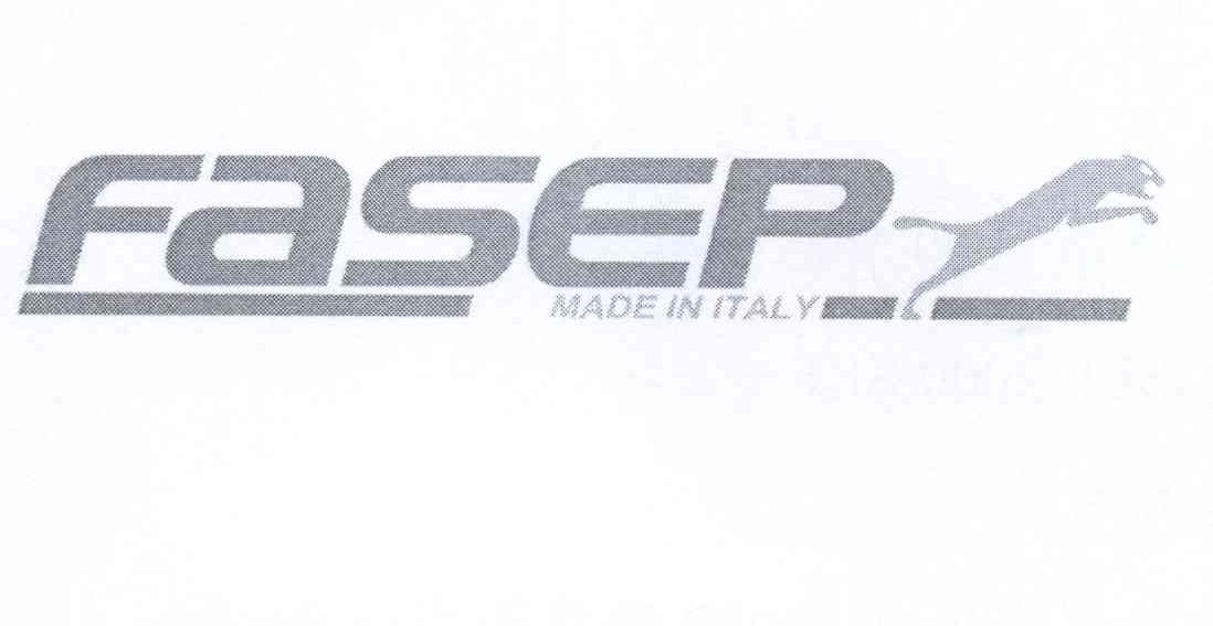 商标名称FASEP MADE IN ITALY商标注册号 13125976、商标申请人费斯普2000有限责任公司的商标详情 - 标库网商标查询