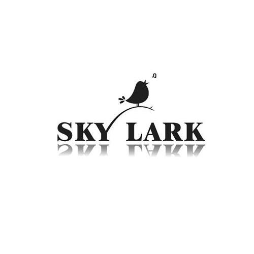 商标名称SKY LARK商标注册号 13088275、商标申请人深圳市维力欧科技有限公司的商标详情 - 标库网商标查询