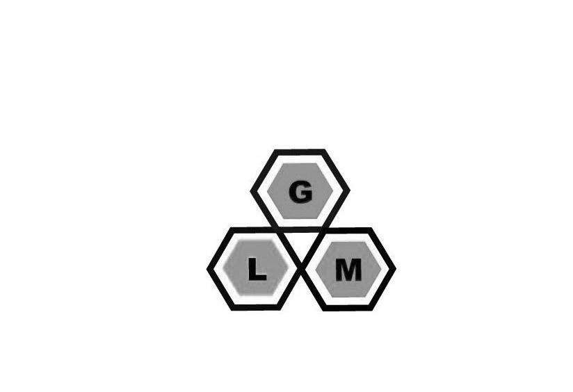 商标名称GLM商标注册号 10246716、商标申请人广东高璐美数码科技有限公司的商标详情 - 标库网商标查询