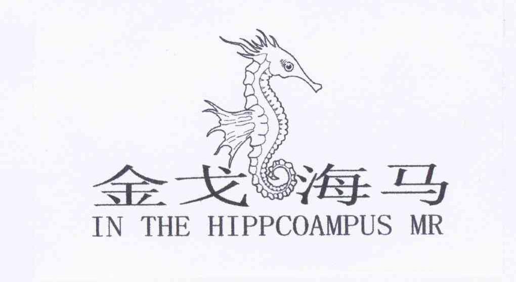 商标名称金戈海马 IN THE HIPPCOAMPUS MR商标注册号 11474740、商标申请人吴肇明的商标详情 - 标库网商标查询