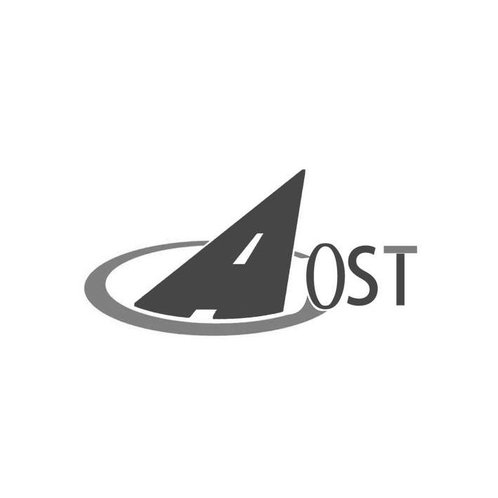 商标名称AOST商标注册号 10653856、商标申请人乐清奥斯特汽配有限公司的商标详情 - 标库网商标查询
