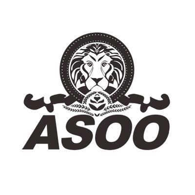 商标名称ASOO商标注册号 14147484、商标申请人桂林埃索技术有限公司的商标详情 - 标库网商标查询
