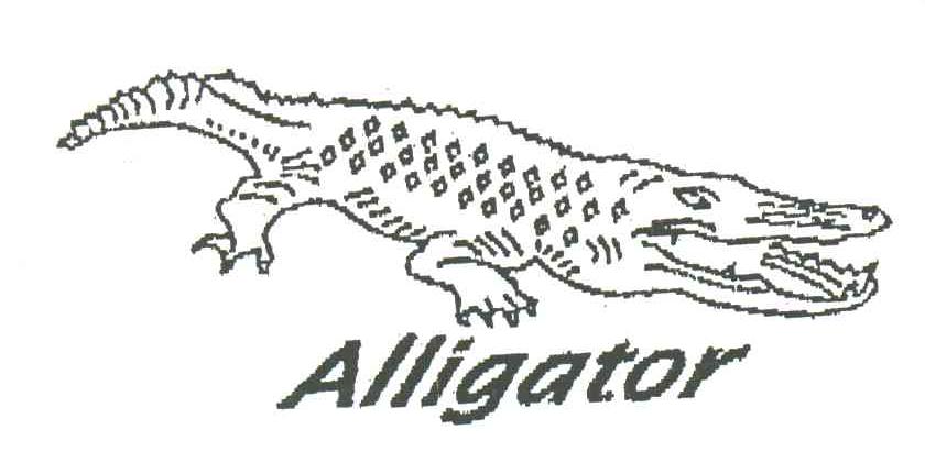 商标名称ALLIGATOR商标注册号 3371920、商标申请人区瑞兴的商标详情 - 标库网商标查询