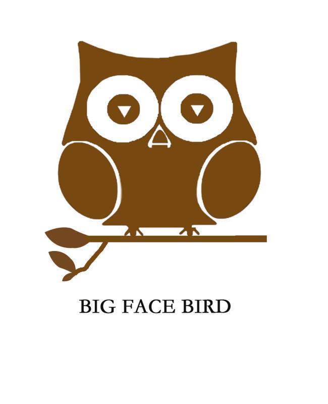 商标名称BIG FACE BIRD商标注册号 13381466、商标申请人深圳易超诚品贸易有限公司的商标详情 - 标库网商标查询