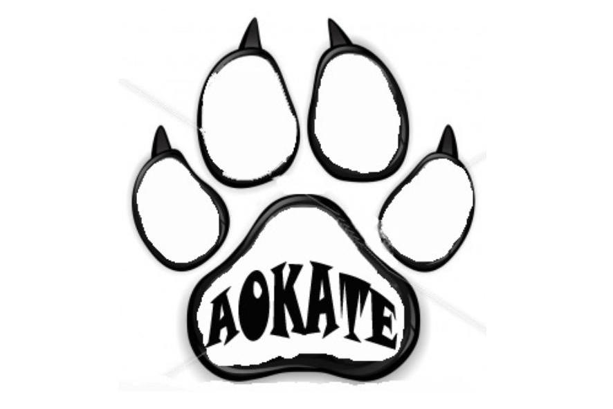 商标名称AOKATE商标注册号 14338370、商标申请人奉化市奥卡特日用品厂的商标详情 - 标库网商标查询