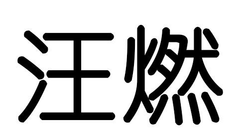 商标文字汪燃商标注册号 59471476,商标申请人上海汤士美伽国际贸易