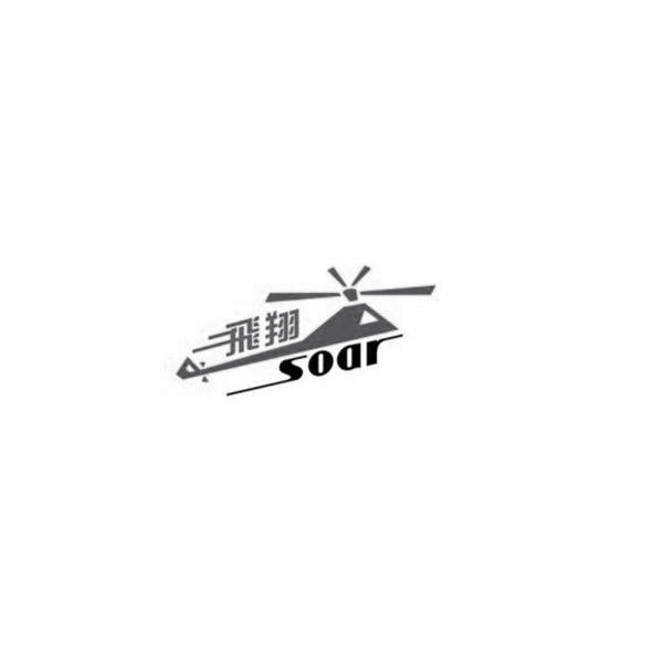 商标名称飞翔 SOAR商标注册号 13180745、商标申请人乐清市飞翔航空技术有限公司的商标详情 - 标库网商标查询