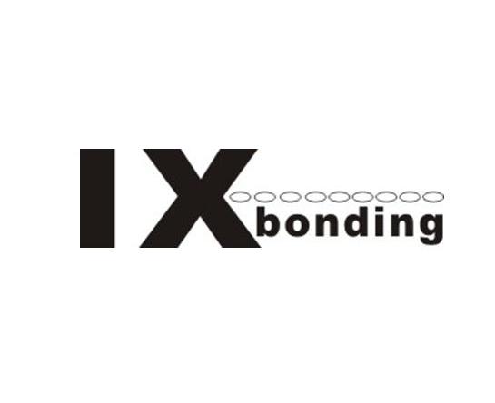 商标名称IX BONDING商标注册号 14169584、商标申请人九点控股有限公司的商标详情 - 标库网商标查询