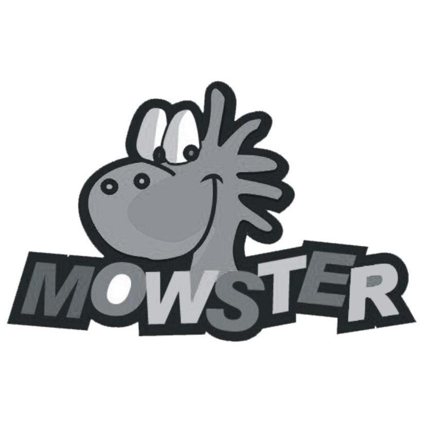 商标名称MOWSTER商标注册号 10434017、商标申请人绍兴无量电子商务有限公司的商标详情 - 标库网商标查询