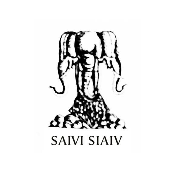 商标名称SAIVI SIAIV商标注册号 13357920、商标申请人乐清市意联电器有限公司的商标详情 - 标库网商标查询