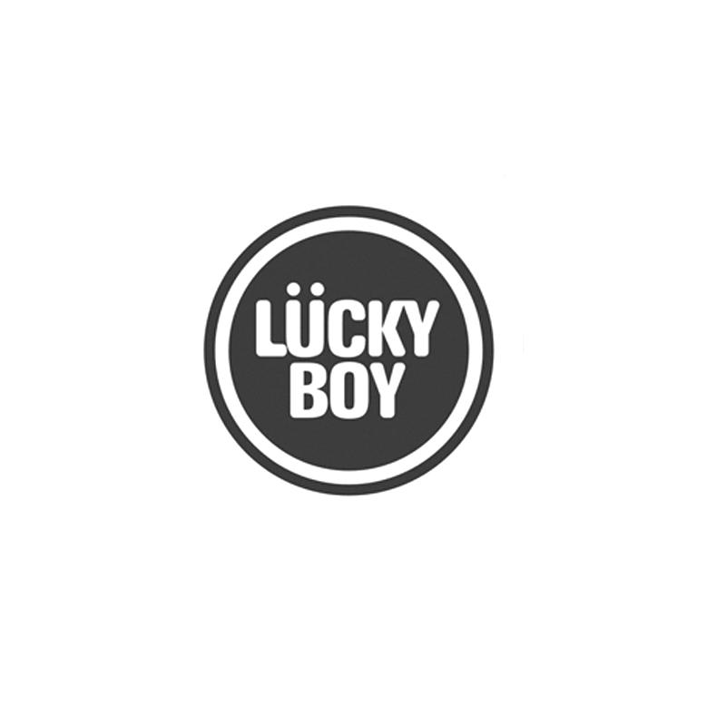 商标名称LUCKY BOY商标注册号 18231979、商标申请人深圳市艾科尔环保科技有限公司的商标详情 - 标库网商标查询
