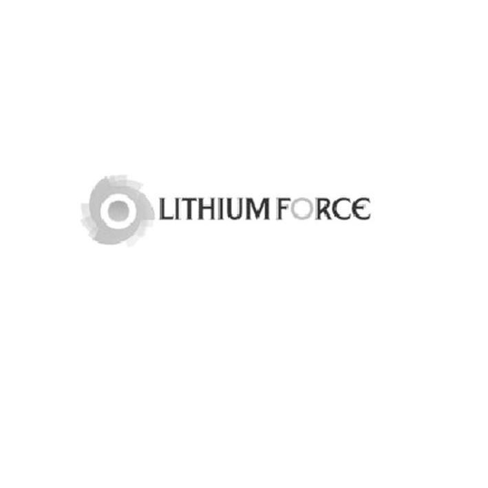 商标名称LITHIUM FORCE商标注册号 10613041、商标申请人力柏时代锂动力科技（北京）有限公司的商标详情 - 标库网商标查询