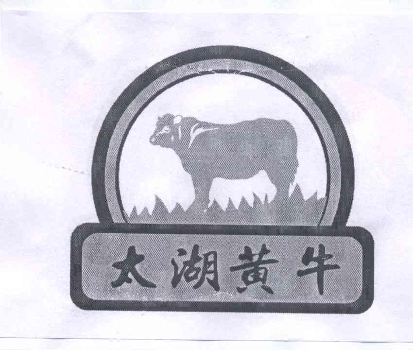 商标名称太湖黄牛商标注册号 13491935、商标申请人太湖黄牛养殖协会的商标详情 - 标库网商标查询