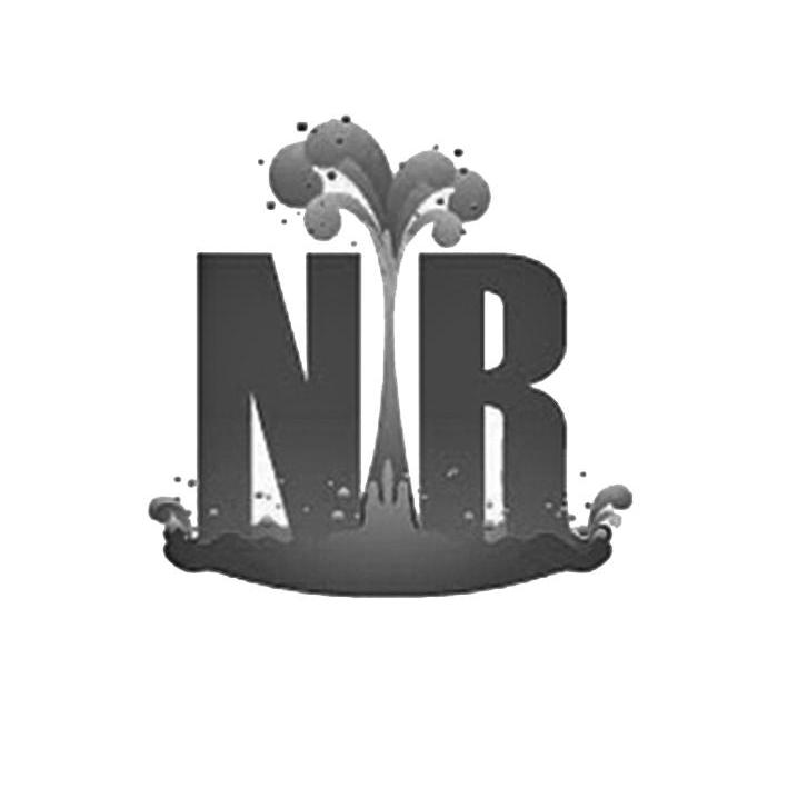 商标名称NR 商标注册号 9123154、商标申请人梁宋鲁的商标详情 - 标库网商标查询