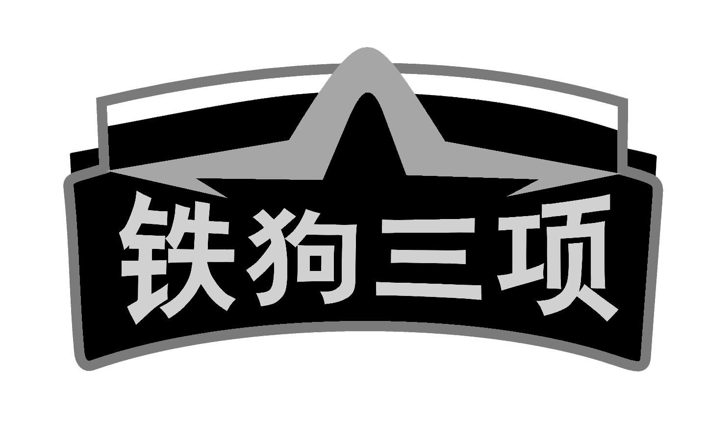 商标文字铁狗三项商标注册号 19473771,商标申请人广州商讯展览服务