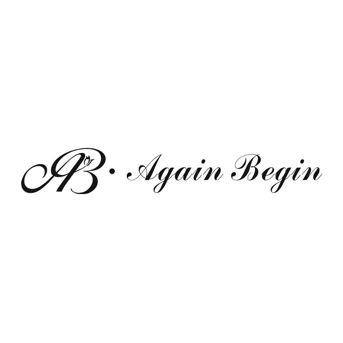 商标名称AB AGAIN BEGIN商标注册号 11333694、商标申请人济南圣薇雅商贸有限公司的商标详情 - 标库网商标查询
