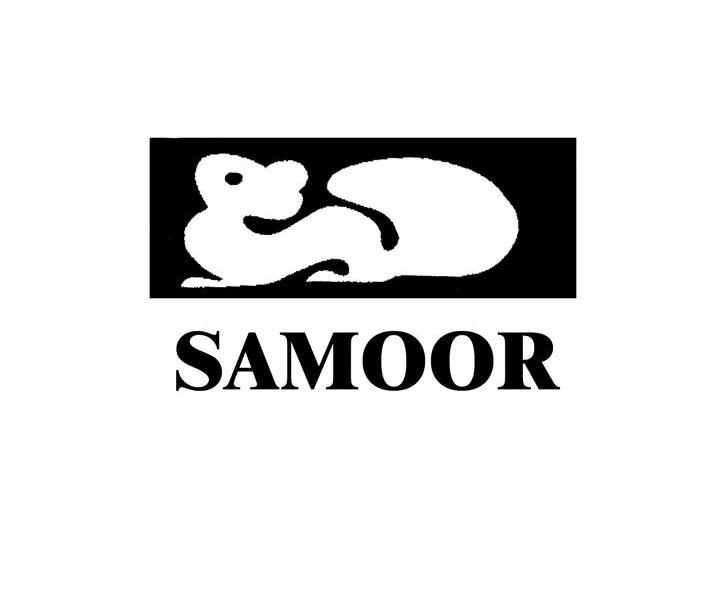 商标名称SAMOOR商标注册号 7931713、商标申请人扬州市宝马制刷厂的商标详情 - 标库网商标查询
