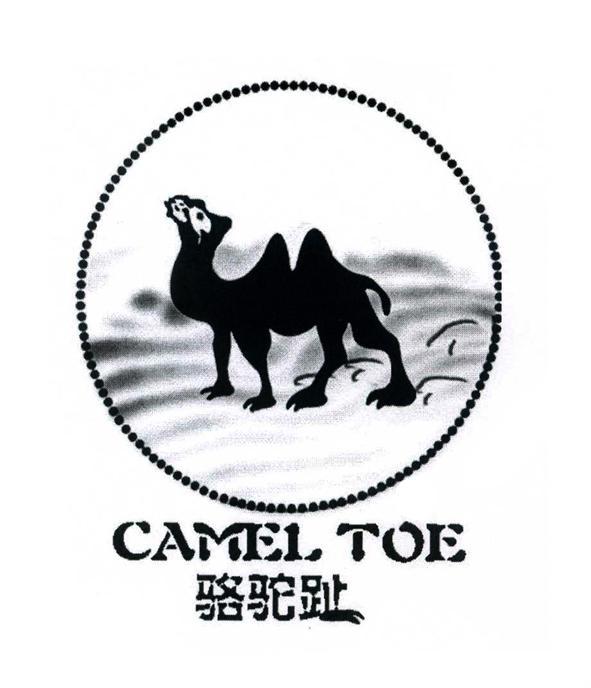 商标名称骆驼趾 CAMEL TOE商标注册号 10076033、商标申请人美国骆驼环球国际投资有限公司的商标详情 - 标库网商标查询