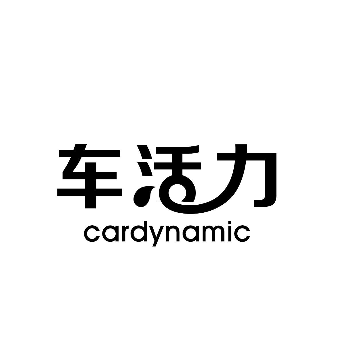 车活力 CARDYNAMIC