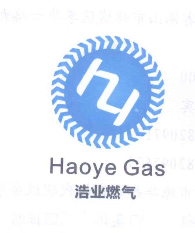 商标名称浩业燃气 HAOYE GAS HY商标注册号 13768151、商标申请人广东浩业能源投资有限公司的商标详情 - 标库网商标查询