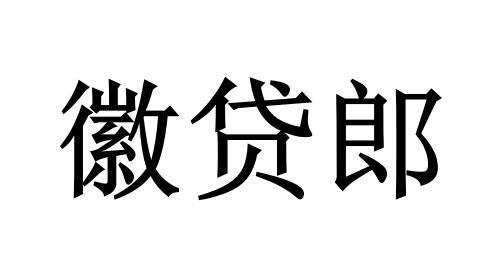 商标文字徽贷郎商标注册号 50530909,商标申请人合肥乐普来信息科技