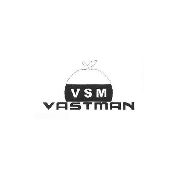 商标名称VSM VASTMAN商标注册号 10960654、商标申请人海丰县公平威仕曼服装厂的商标详情 - 标库网商标查询