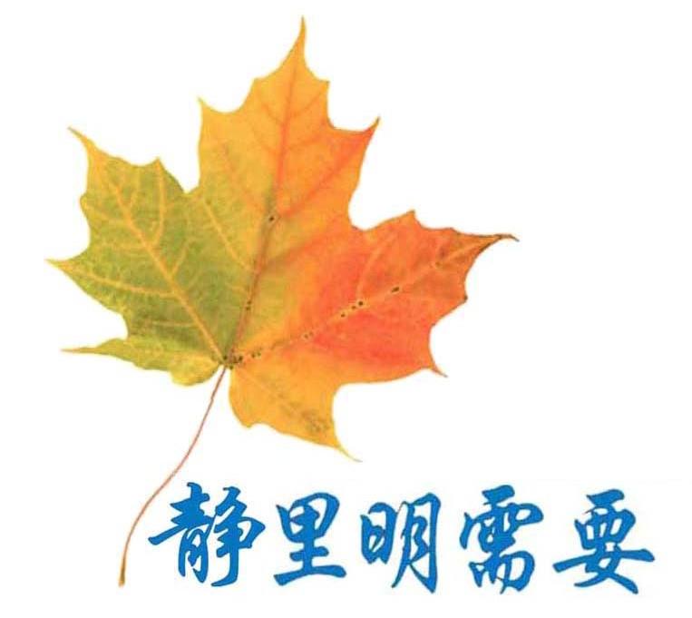 商标名称静里明需要商标注册号 10487014、商标申请人上海枫静贸易有限公司的商标详情 - 标库网商标查询
