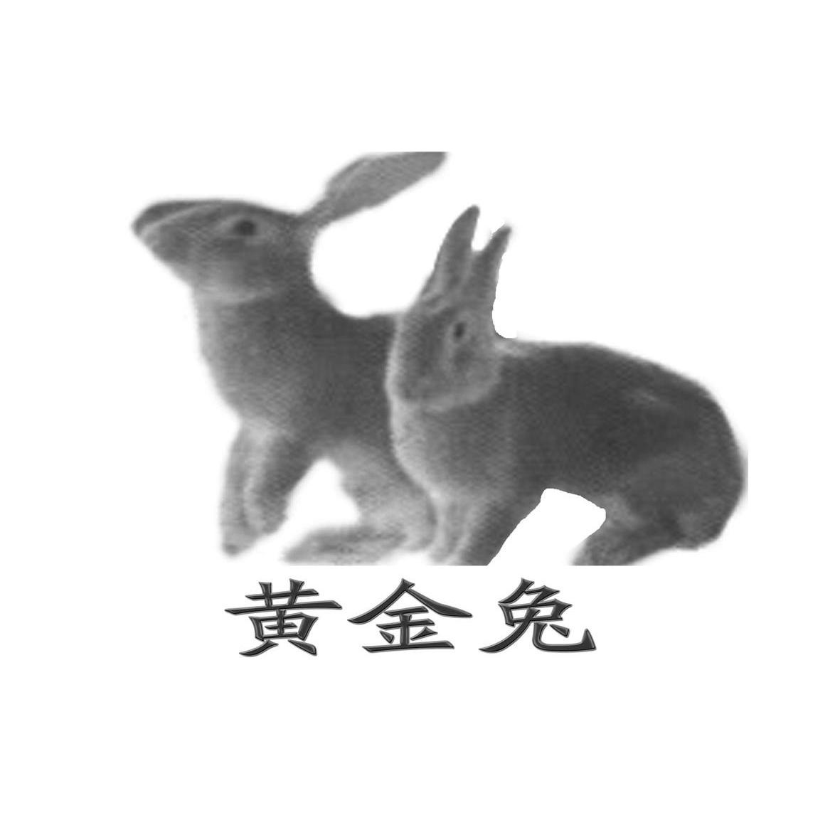 商标名称黄金兔商标注册号 9299493、商标申请人广西恒邦投资有限公司的商标详情 - 标库网商标查询