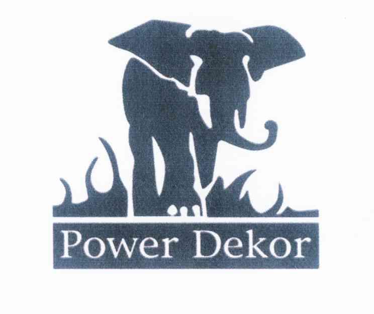 商标名称POWER DEKOR商标注册号 10415939、商标申请人圣象集团有限公司的商标详情 - 标库网商标查询