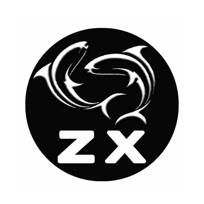 商标名称ZX商标注册号 13558647、商标申请人如东县求精健身器材有限责任公司的商标详情 - 标库网商标查询