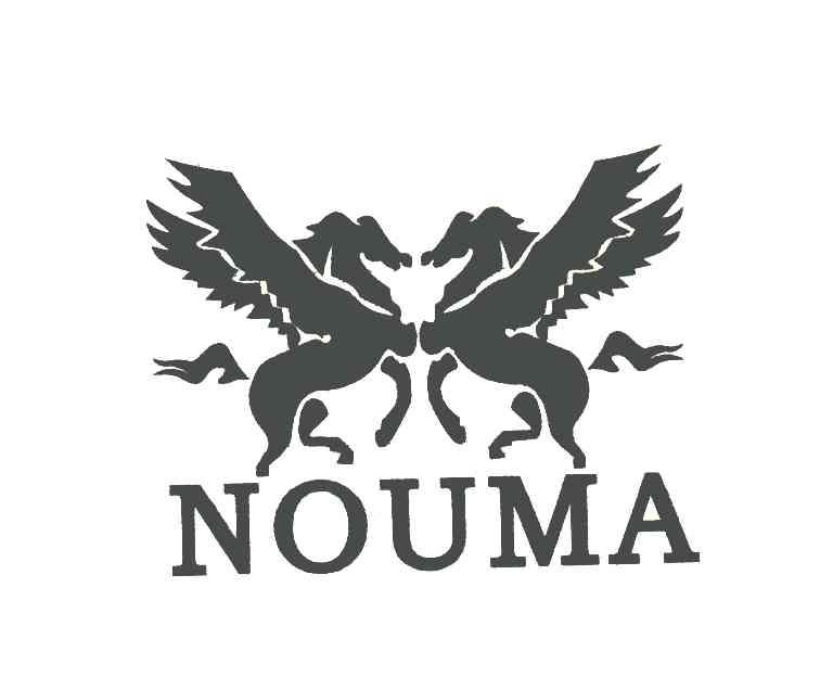 商标名称NOUMA商标注册号 6214766、商标申请人锡山区查桥赵小云车辆经营部的商标详情 - 标库网商标查询