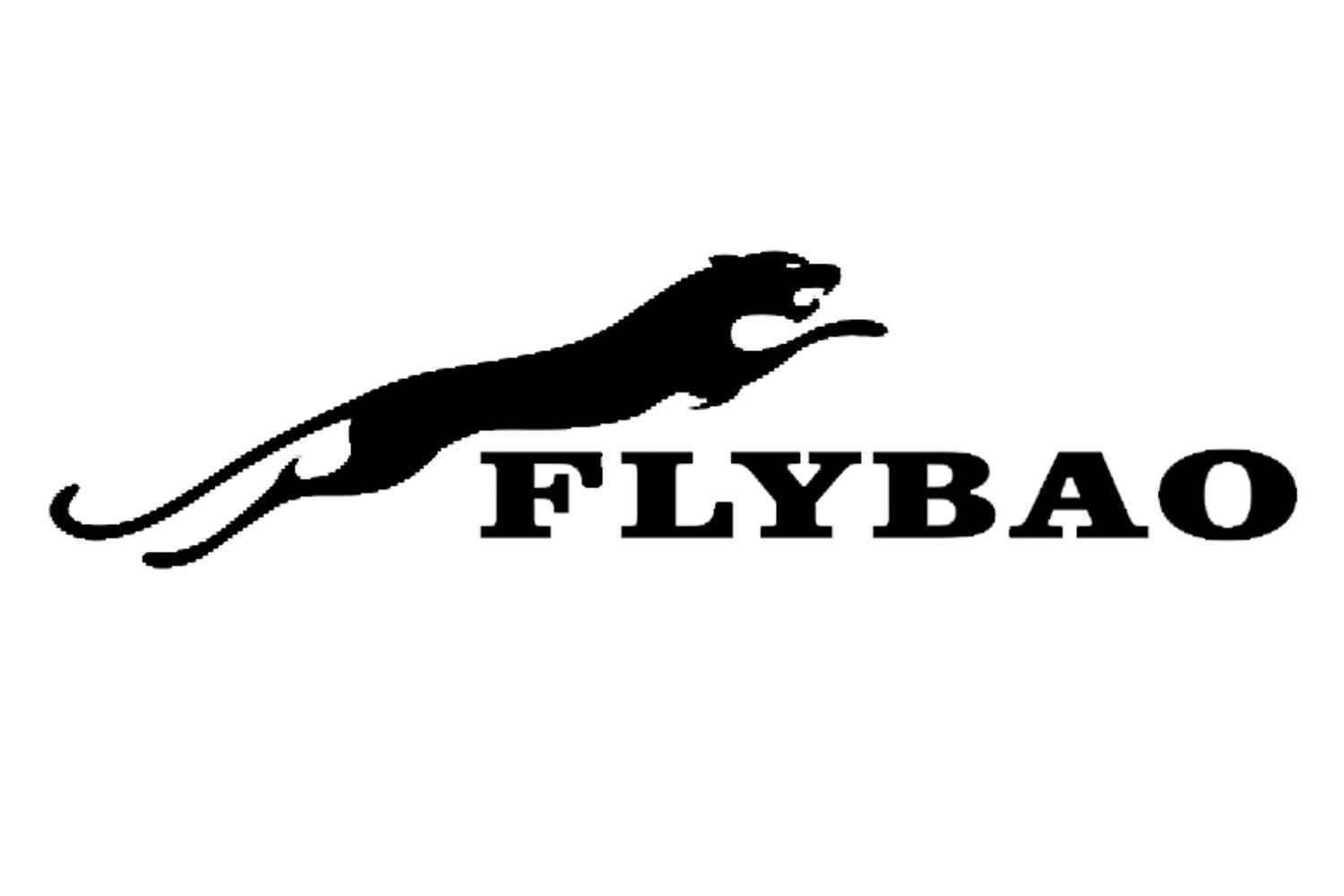 商标名称FLYBAO商标注册号 13548414、商标申请人深圳市飞豹数码有限公司的商标详情 - 标库网商标查询