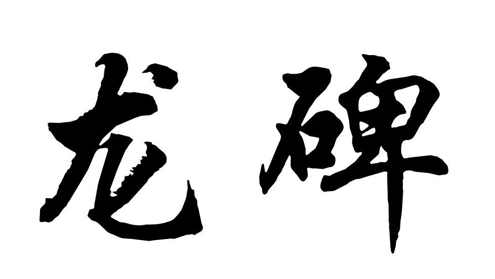 商标文字龙碑商标注册号 7362558,商标申请人枣庄市盛达建材商贸有限