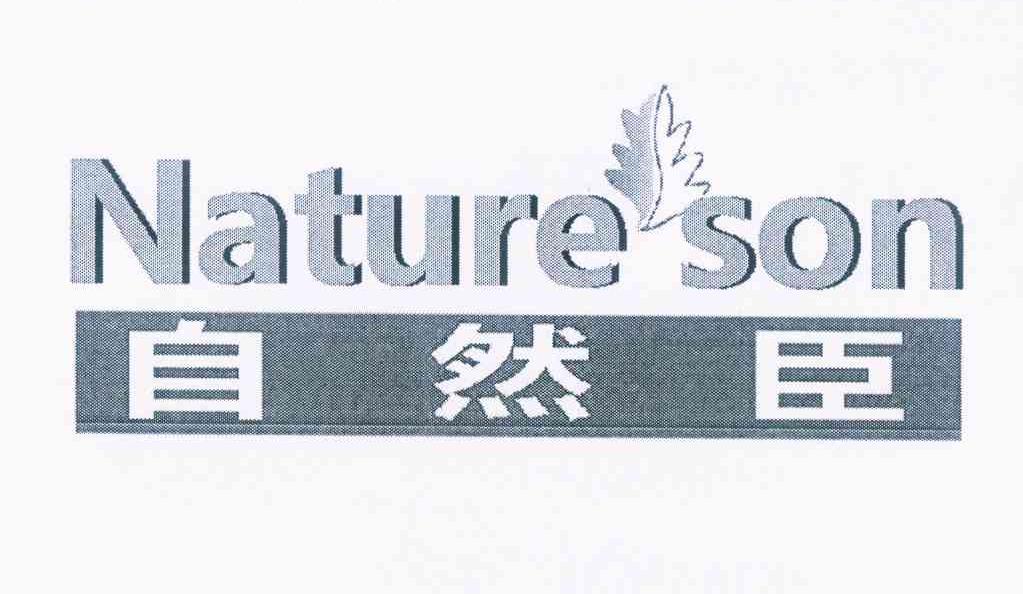 商标名称自然臣 NATURE SON商标注册号 10276435、商标申请人李雨洁的商标详情 - 标库网商标查询
