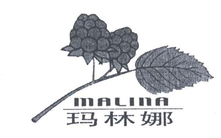 商标名称玛林娜;MALINA商标注册号 3175486、商标申请人金美玉的商标详情 - 标库网商标查询