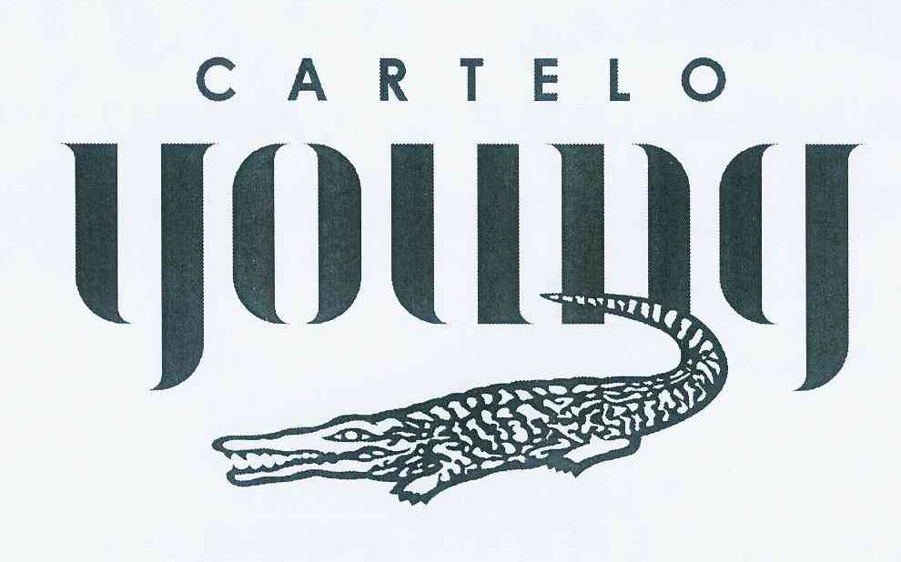 商标名称CARTELO YOUNG商标注册号 11573139、商标申请人卡帝乐鳄鱼私人有限公司的商标详情 - 标库网商标查询