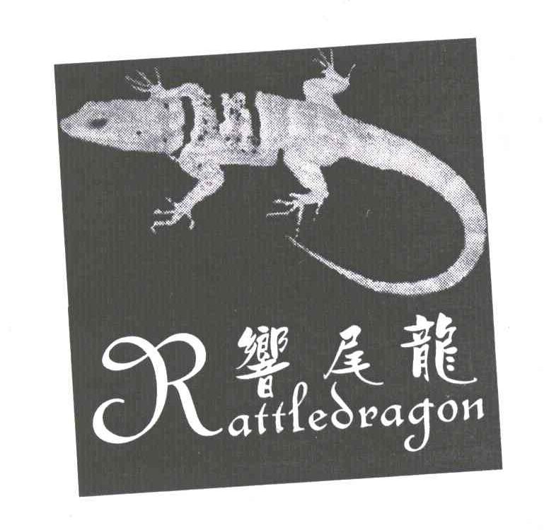 商标名称响尾龙;RATTLE DRAGON商标注册号 3893209、商标申请人曾志添的商标详情 - 标库网商标查询