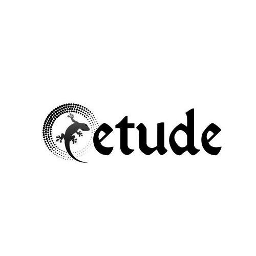 商标名称ETUDE商标注册号 11992076、商标申请人深圳市辑致科技有限公司的商标详情 - 标库网商标查询
