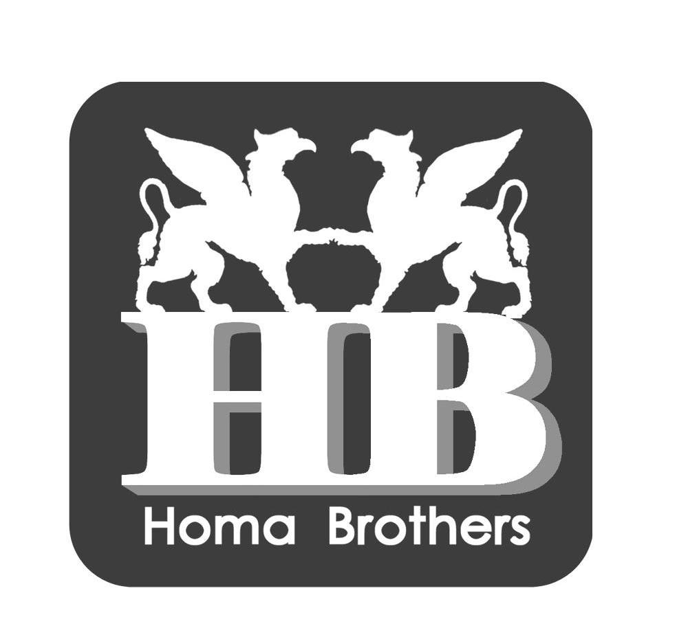 商标名称HOMA BROTHERS HB商标注册号 8248220、商标申请人北京霍玛兄弟科技发展有限公司的商标详情 - 标库网商标查询