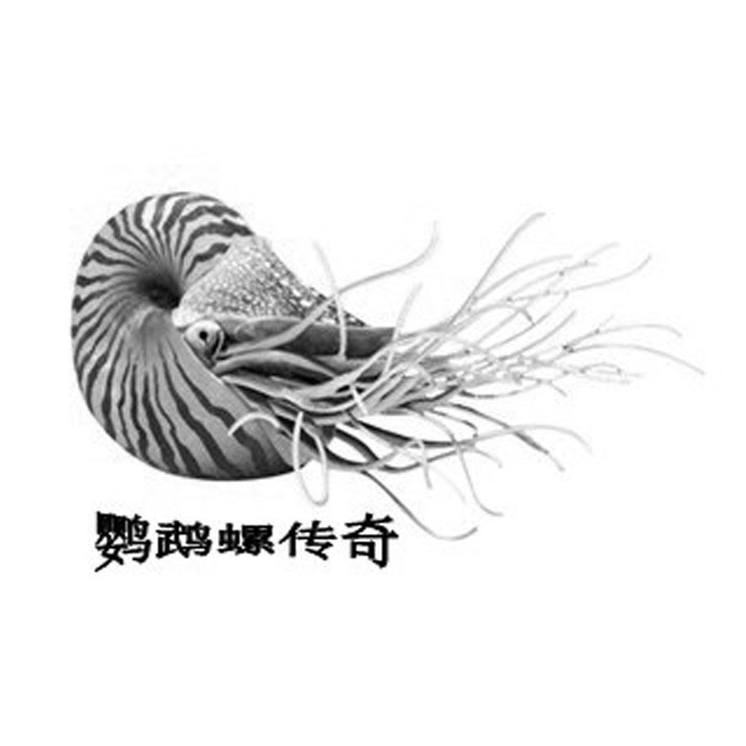 商标名称鹦鹉螺传奇商标注册号 12850318、商标申请人厦门市辽震海洋科技有限公司的商标详情 - 标库网商标查询