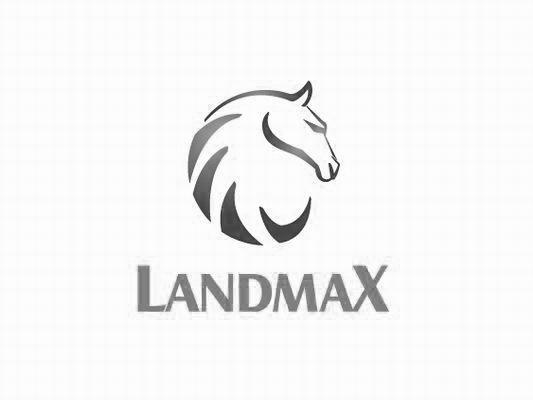 商标名称LANDMAX商标注册号 10068376、商标申请人上海陆迈国际贸易有限公司的商标详情 - 标库网商标查询