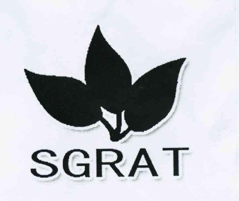 商标名称SGRAT商标注册号 10489219、商标申请人石家庄硕茂摩擦材料科技有限公司的商标详情 - 标库网商标查询