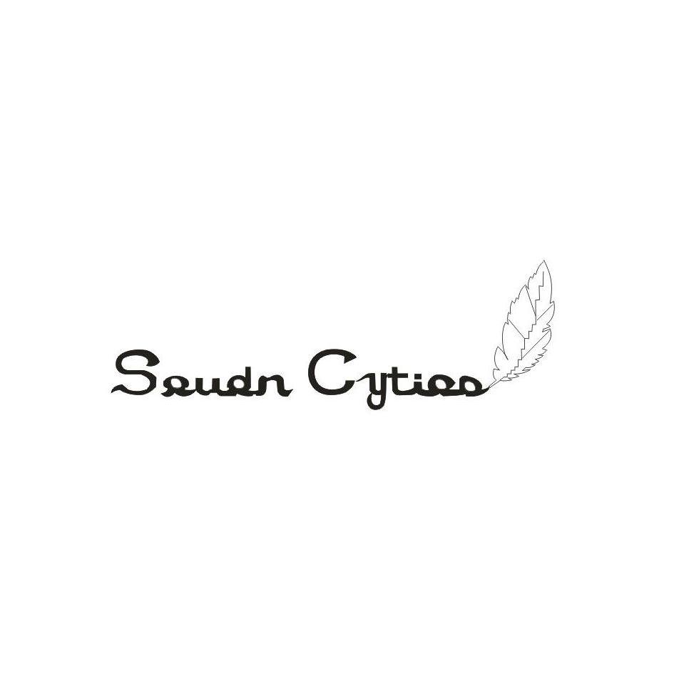 商标名称SAUDN CYTIAN商标注册号 9166440、商标申请人北京百达永利服装服饰有限公司的商标详情 - 标库网商标查询