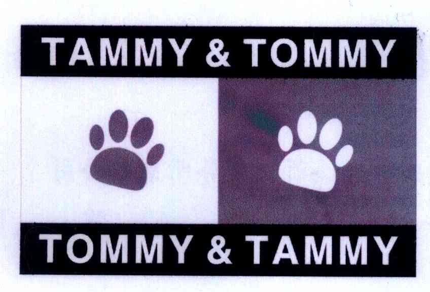 商标名称TAMMY TOMMY商标注册号 4585619、商标申请人李嘉璇的商标详情 - 标库网商标查询