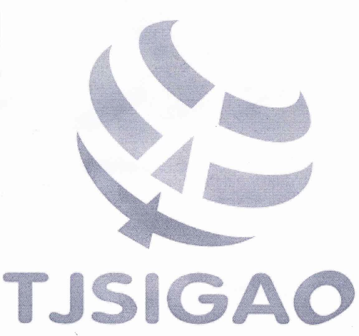 商标名称TJSIGAO商标注册号 10793367、商标申请人天津思高科技发展有限公司的商标详情 - 标库网商标查询
