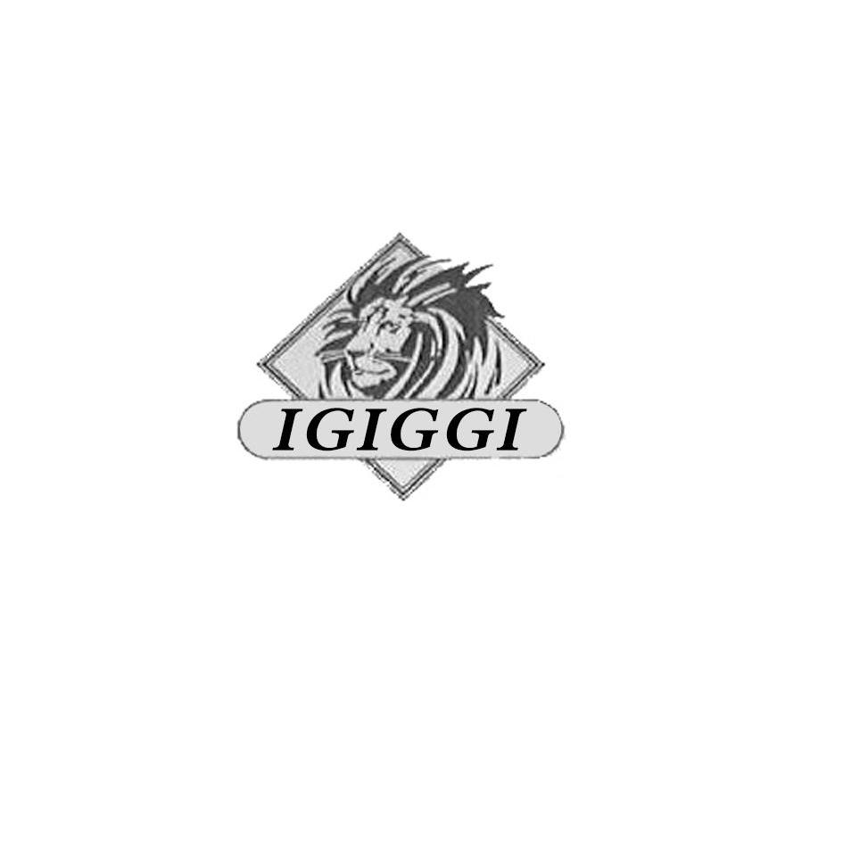 商标名称IGIGGI商标注册号 10953004、商标申请人宝利合实业（集团）有限公司的商标详情 - 标库网商标查询